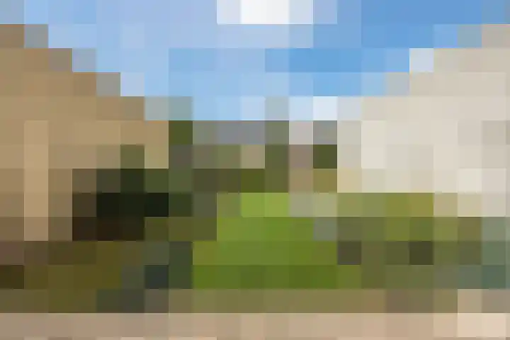 Griffioen 9 Uden thumbnail 30