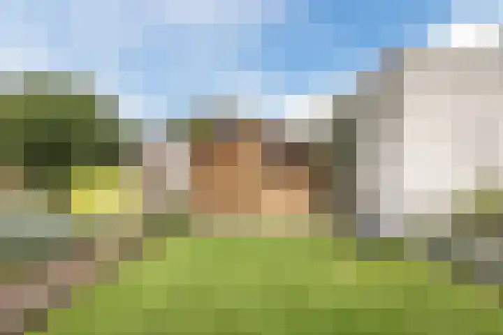 Griffioen 9 Uden thumbnail 33