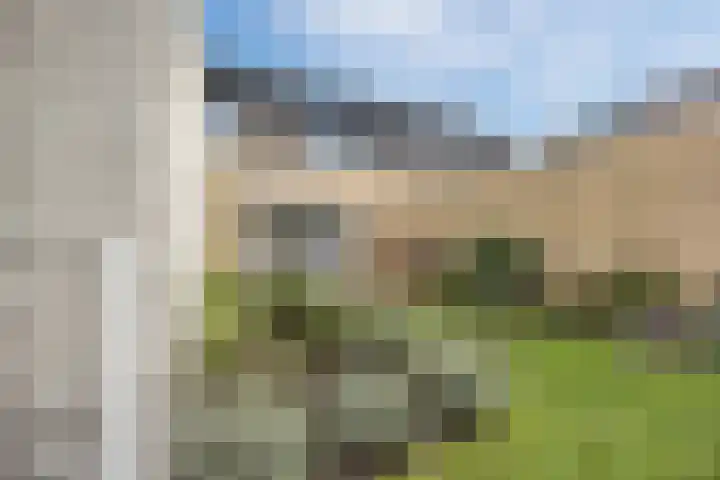 Griffioen 9 Uden thumbnail 34