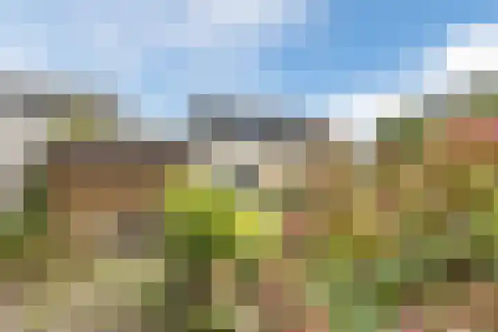Griffioen 9 Uden thumbnail 35