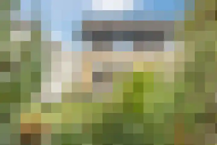 Griffioen 9 Uden thumbnail 36