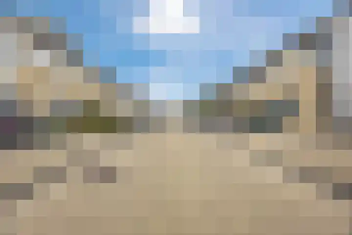 Griffioen 9 Uden thumbnail 37