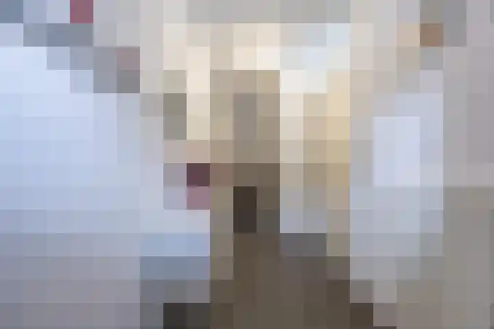 Griffioen 9 Uden thumbnail 5