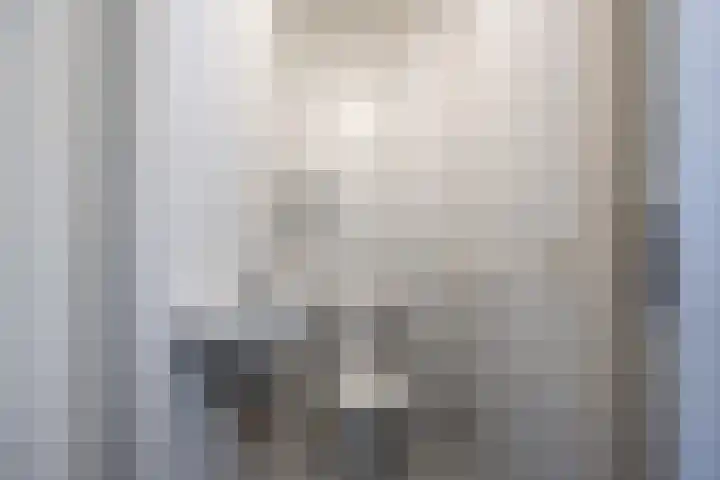 Griffioen 9 Uden thumbnail 7