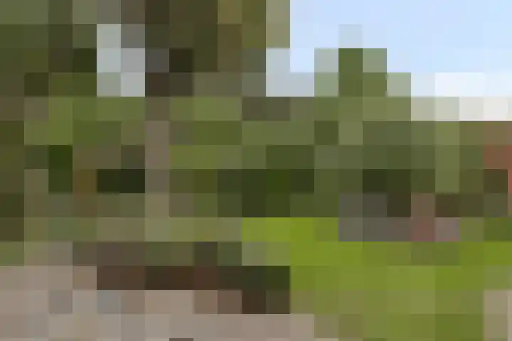 Griffioenhof 11 Valkenswaard thumbnail 28