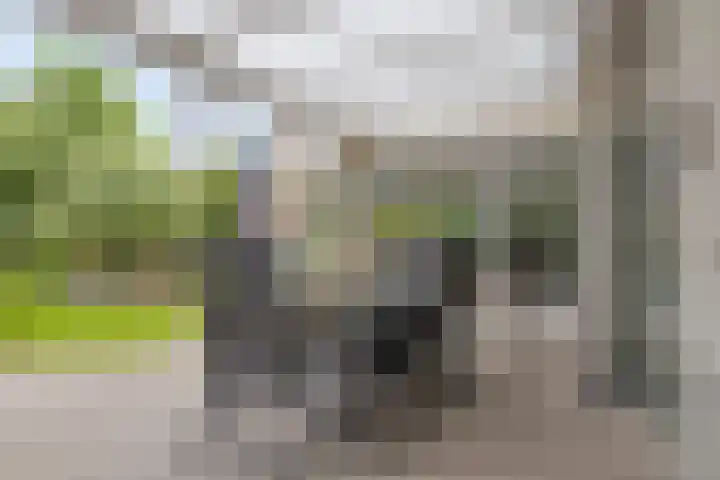 Griffioenhof 11 Valkenswaard thumbnail 29