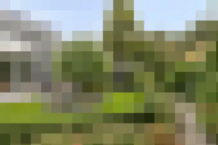 Griffioenhof 11 Valkenswaard thumbnail 30