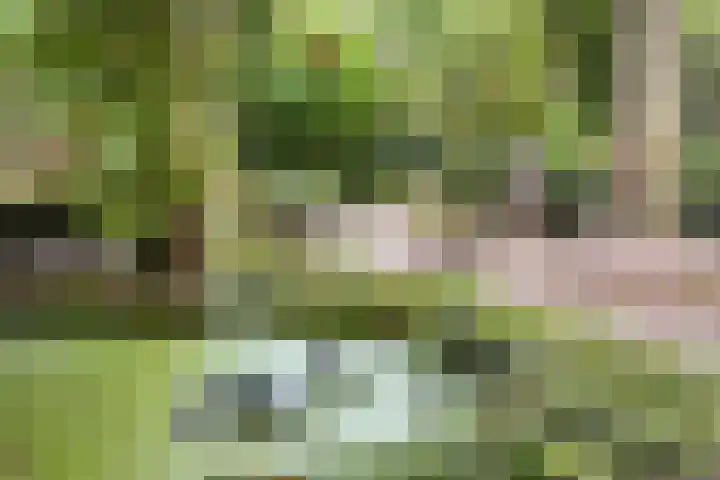 Griffioenhof 11 Valkenswaard thumbnail 31