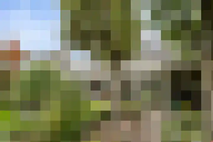 Griffioenhof 11 Valkenswaard thumbnail 33