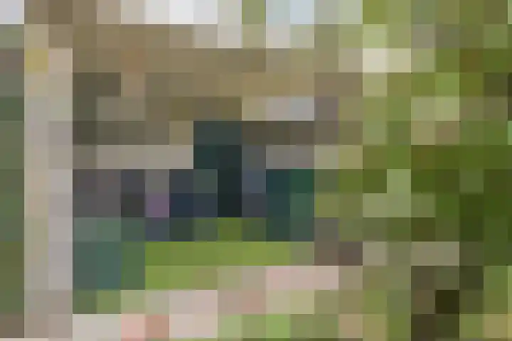 Griffioenhof 11 Valkenswaard thumbnail 34