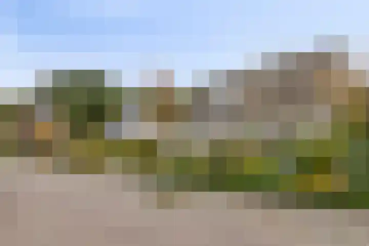 Griffioenhof 11 Valkenswaard thumbnail 37