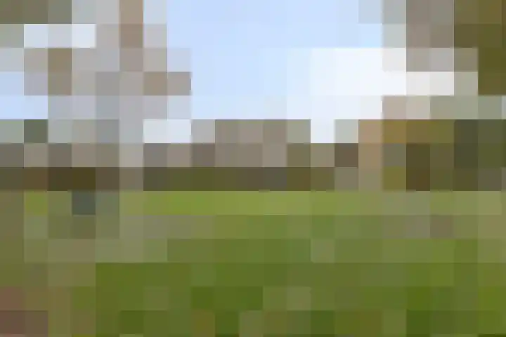 Griffioenhof 11 Valkenswaard thumbnail 38