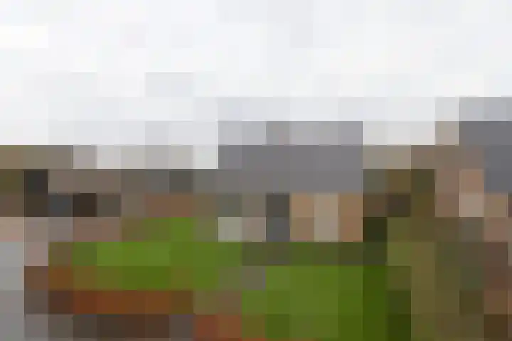 Griffioenlaan 7 Grijpskerk