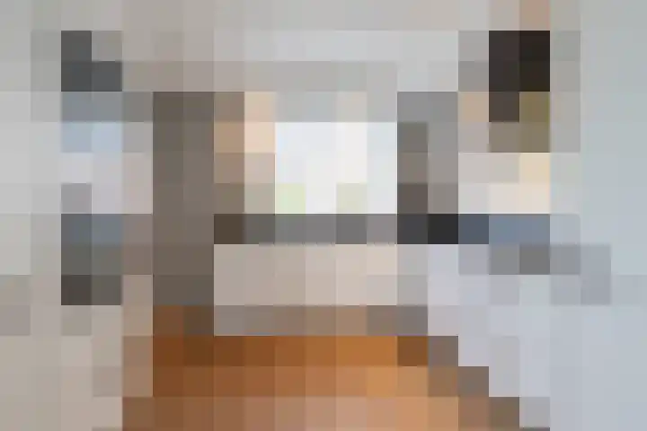 Griffioenlaan 7 Grijpskerk thumbnail 15