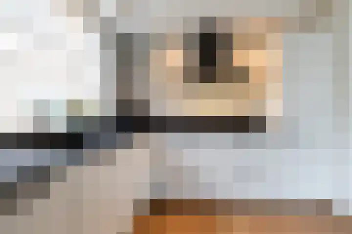 Griffioenlaan 7 Grijpskerk thumbnail 16