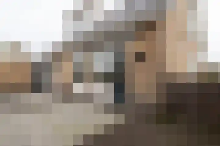 Griffioenlaan 7 Grijpskerk thumbnail 21