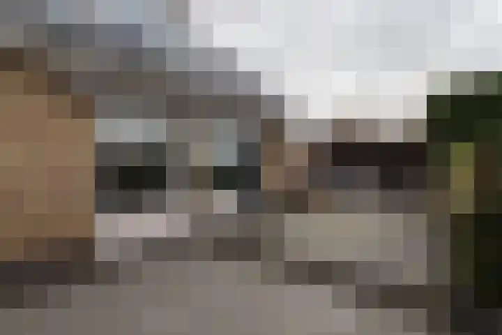 Griffioenlaan 7 Grijpskerk thumbnail 22