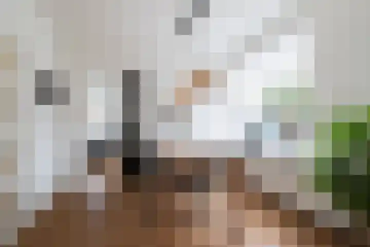 Griffioenlaan 7 Grijpskerk thumbnail 29