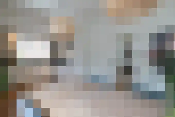 Griffioenlaan 7 Grijpskerk thumbnail 30