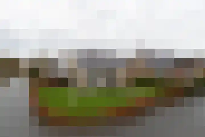 Griffioenlaan 7 Grijpskerk thumbnail 4