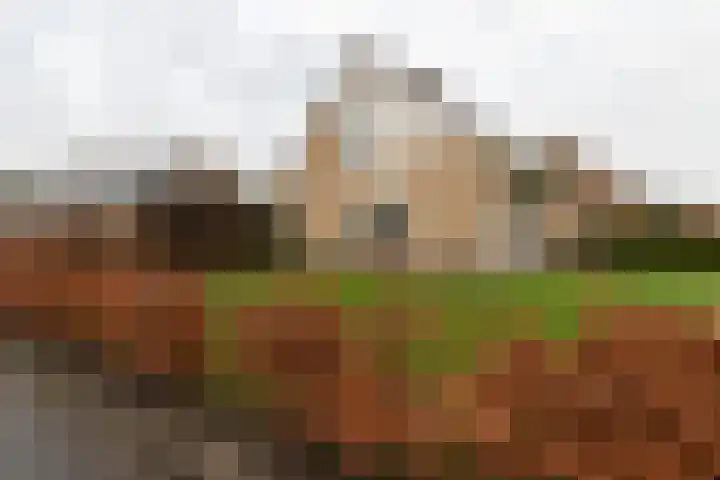 Griffioenlaan 7 Grijpskerk thumbnail 44