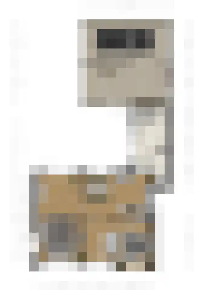 Griffioenlaan 7 Grijpskerk thumbnail 47