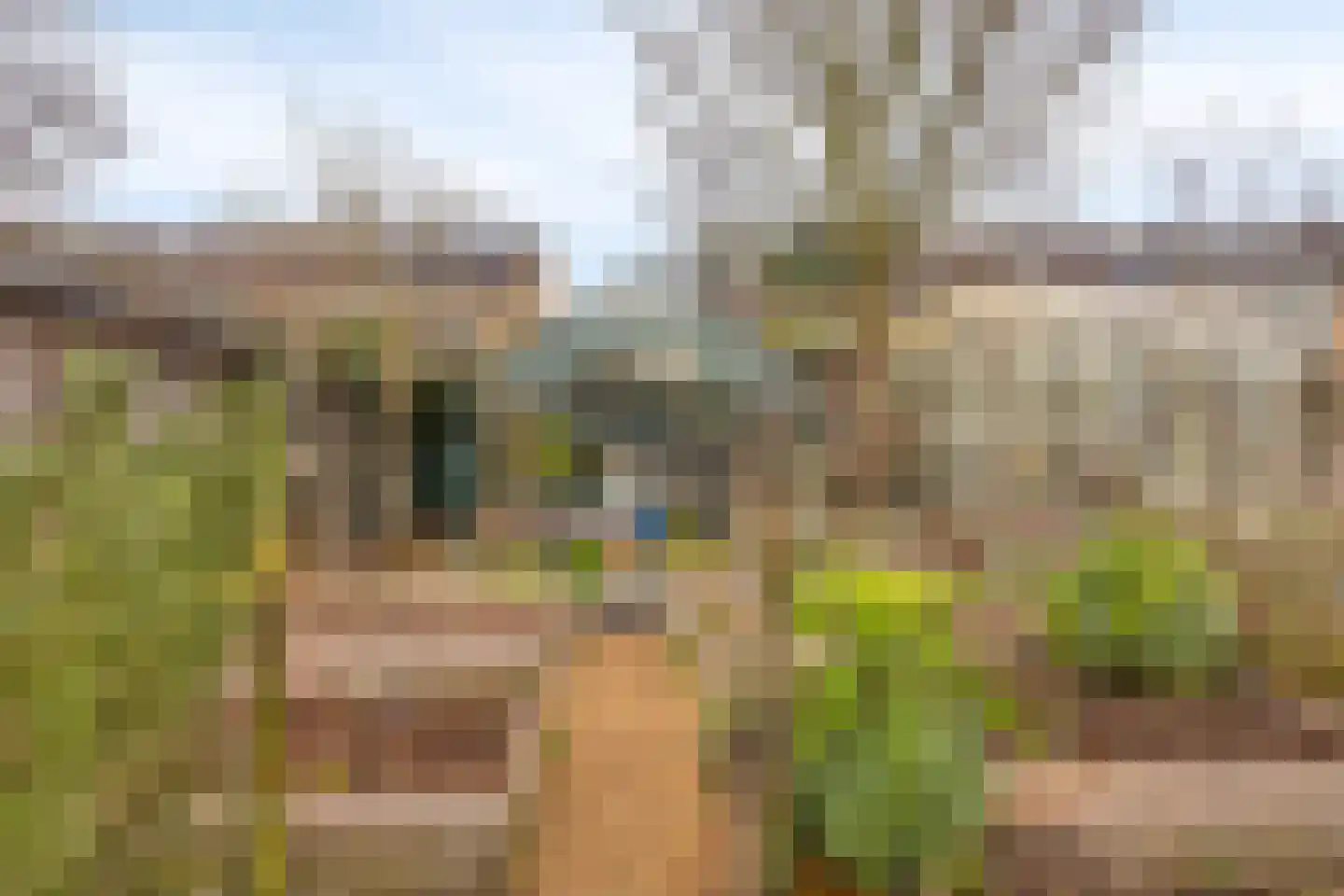 Griffioenstraat 16 Middelburg thumbnail 21