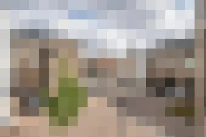 Griffioenstraat 18 Schiedam thumbnail 21