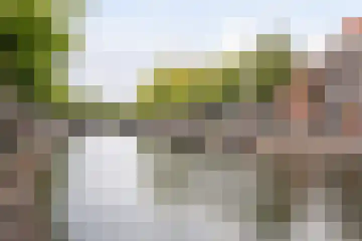 Griffioenstraat 18 Schiedam thumbnail 23