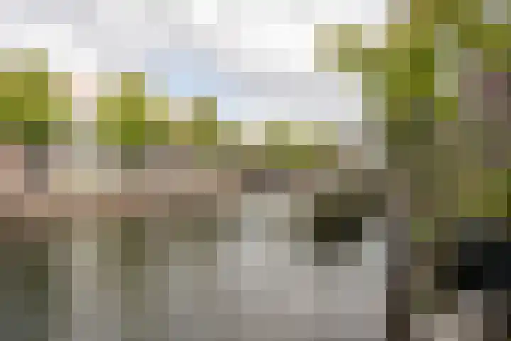 Griffioenstraat 18 Schiedam thumbnail 24
