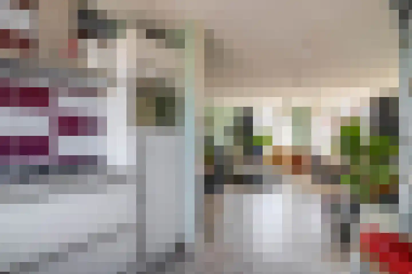 Griffioenstraat 38 Schiedam thumbnail 18
