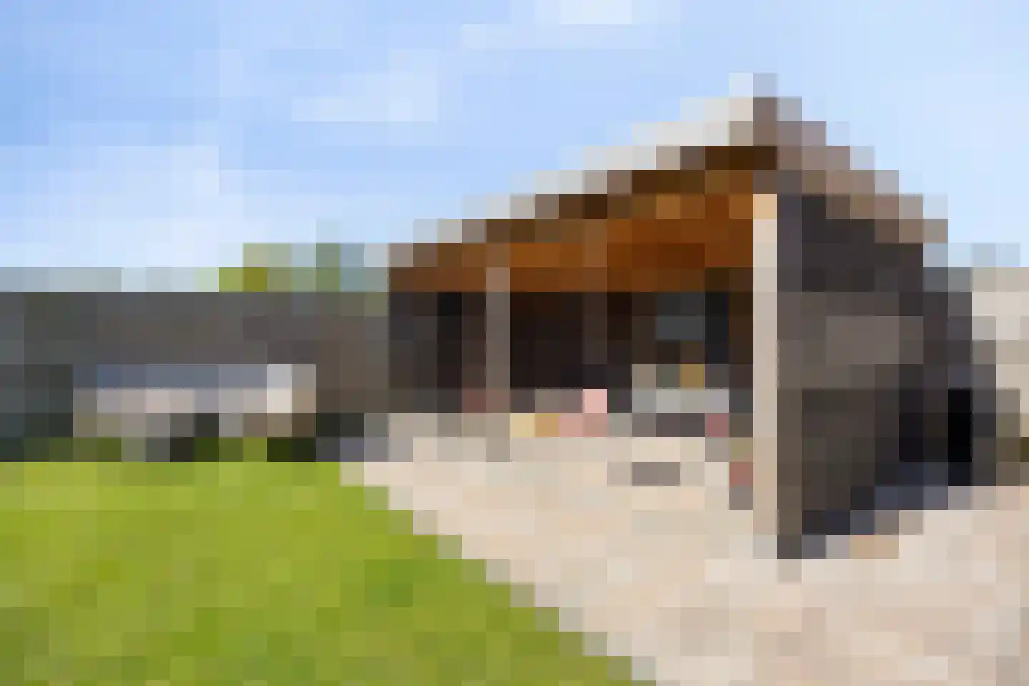 Grift 23 Heerhugowaard thumbnail 26