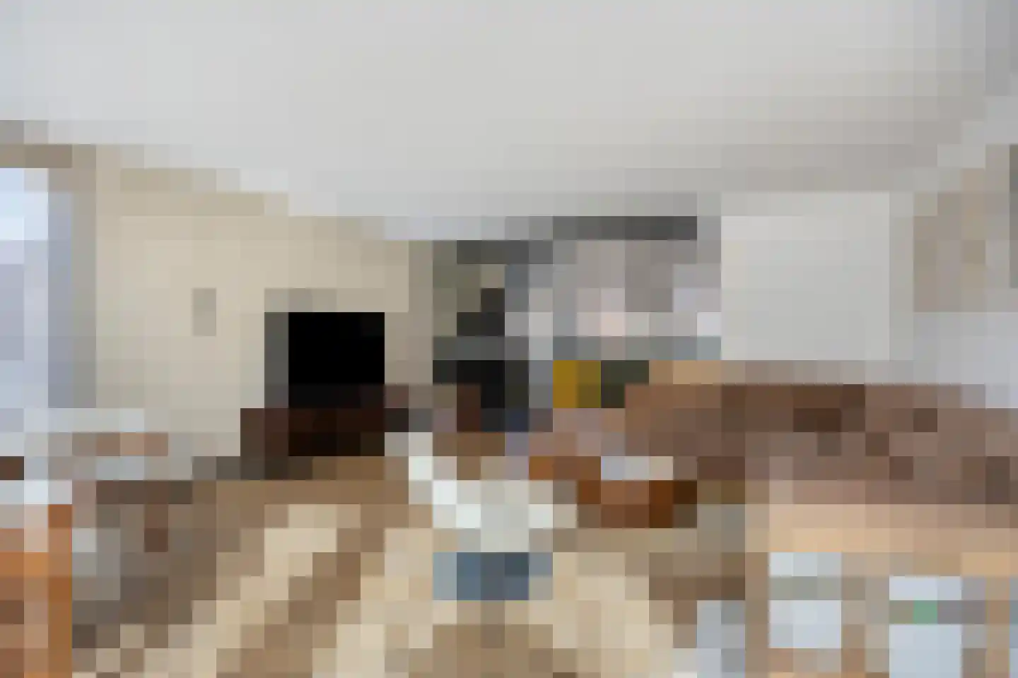 Grift 23 Heerhugowaard thumbnail 6