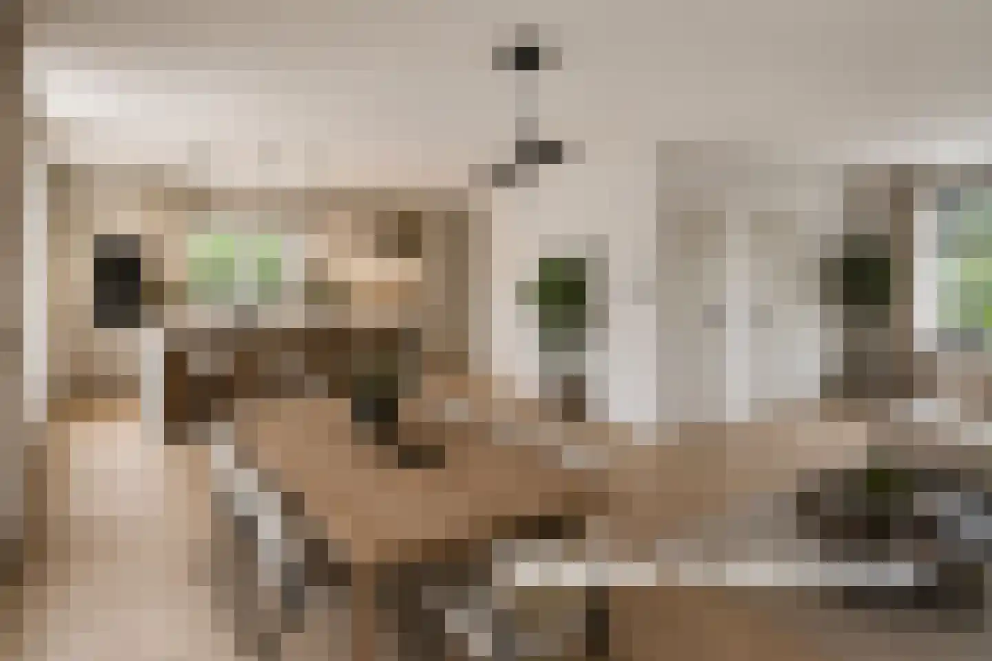 Grift 23 Kaatsheuvel thumbnail 10