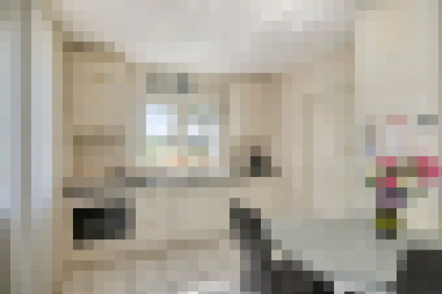 Grift 23 Kaatsheuvel thumbnail 11