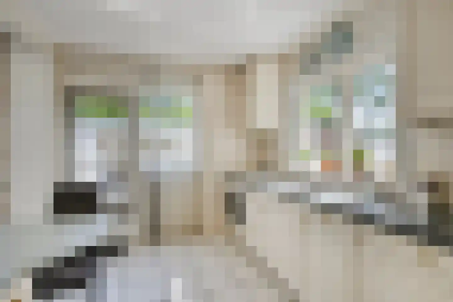 Grift 23 Kaatsheuvel thumbnail 12