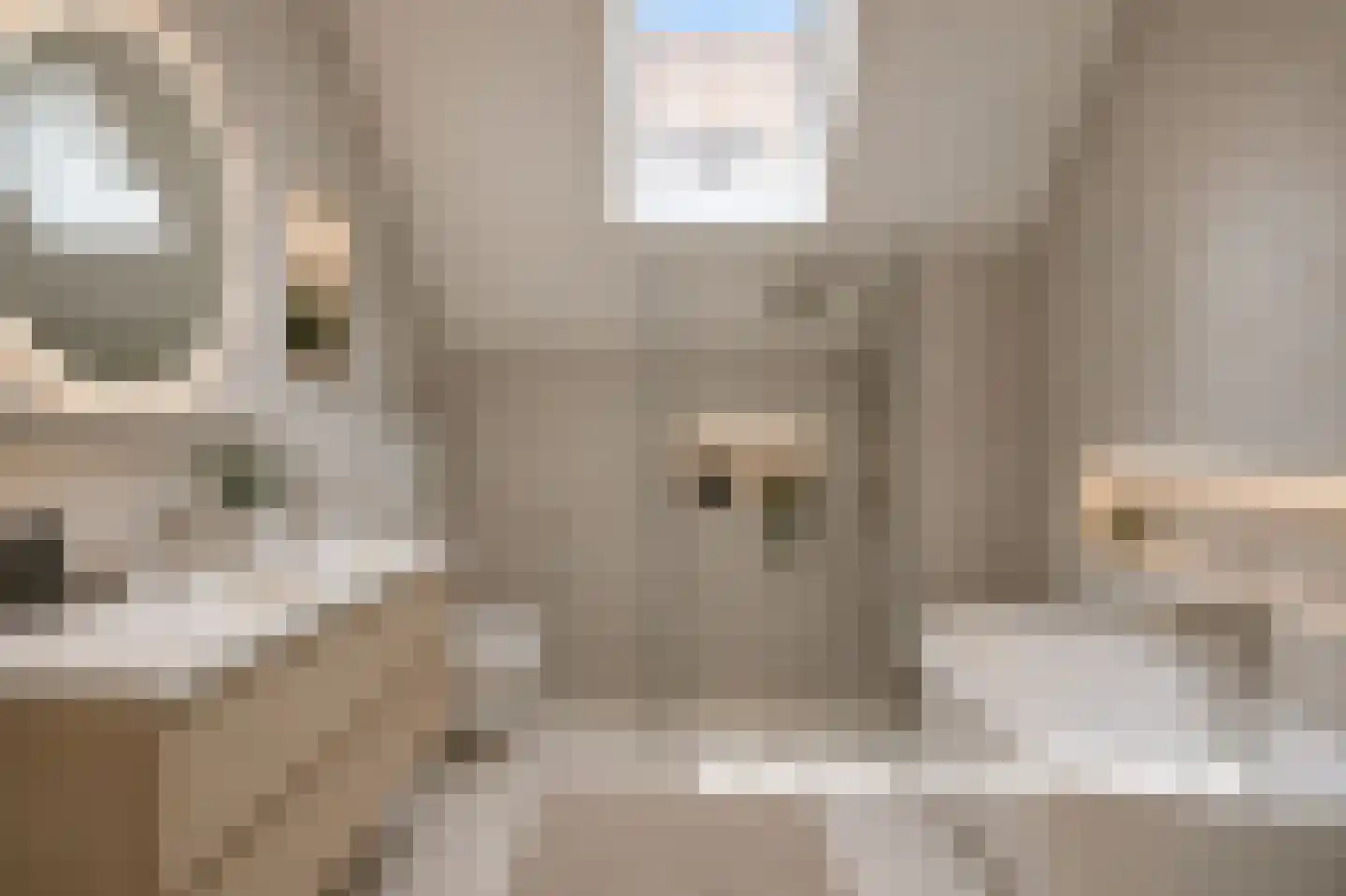 Grift 23 Kaatsheuvel thumbnail 25