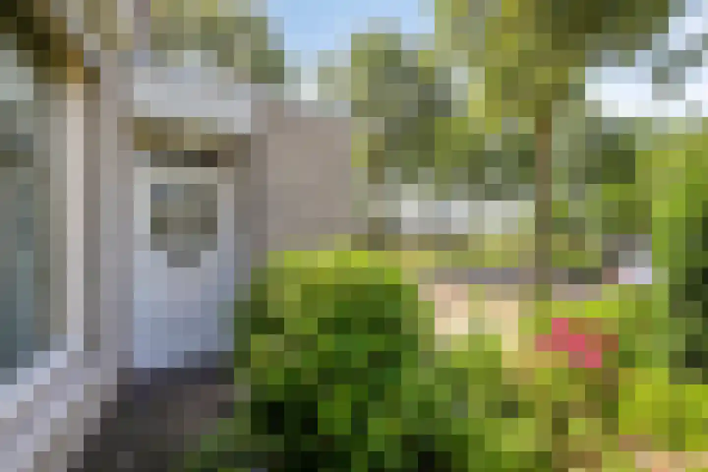 Grift 23 Kaatsheuvel thumbnail 4