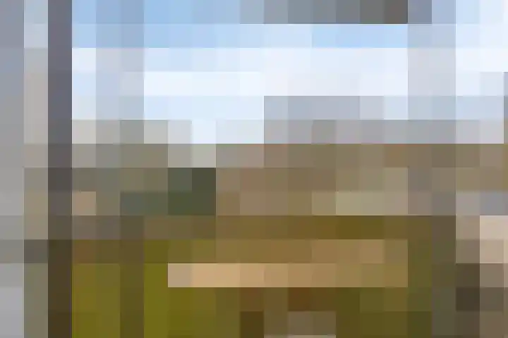 Grift 71 Assen thumbnail 15