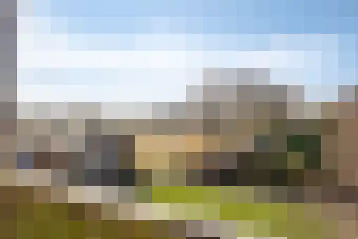 Grift 71 Assen thumbnail 17