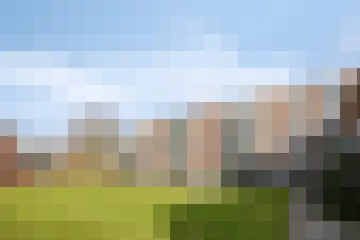 Grift 71 Assen thumbnail 19