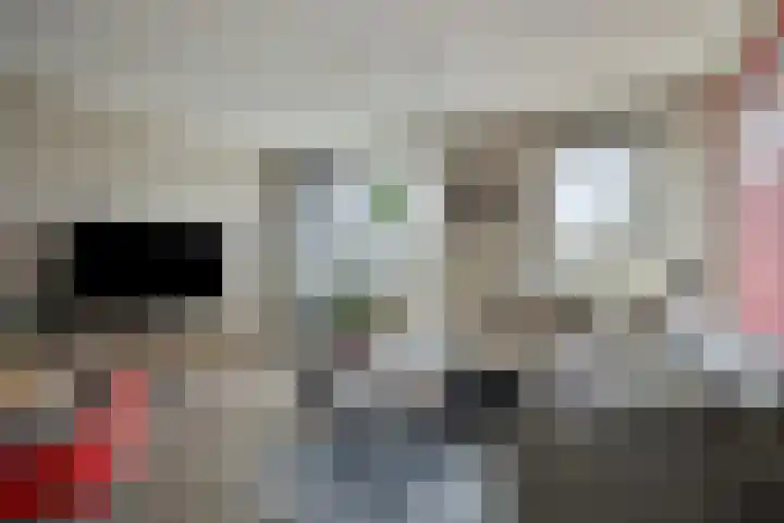 Grift 71 Assen thumbnail 4