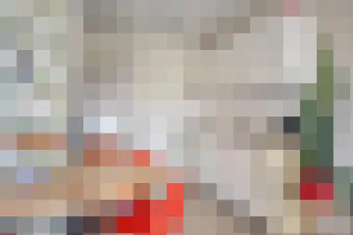 Grift 71 Assen thumbnail 8