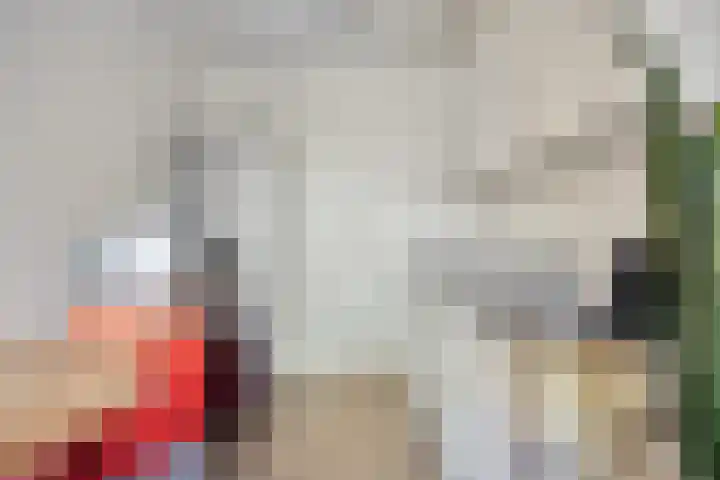 Grift 71 Assen thumbnail 9