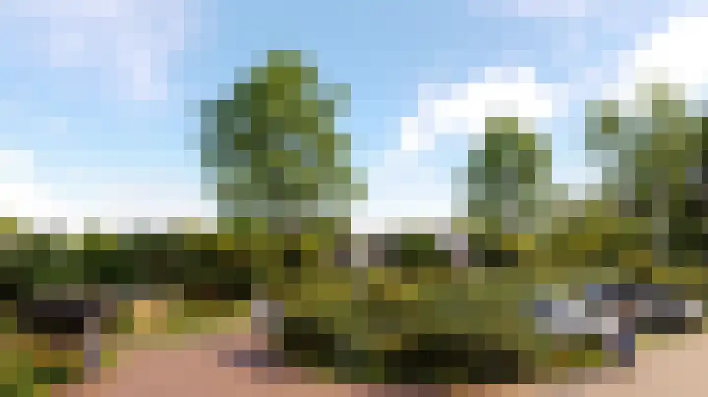 Griftdijk 1 Nijmegen thumbnail 7