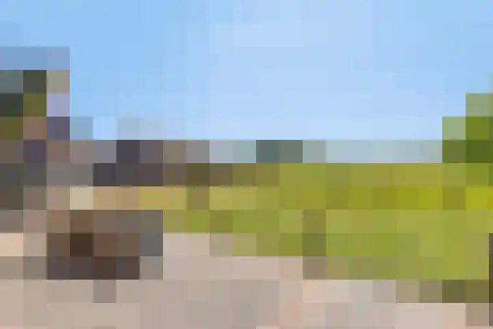 Griftdijk 10 Maarsbergen thumbnail 30