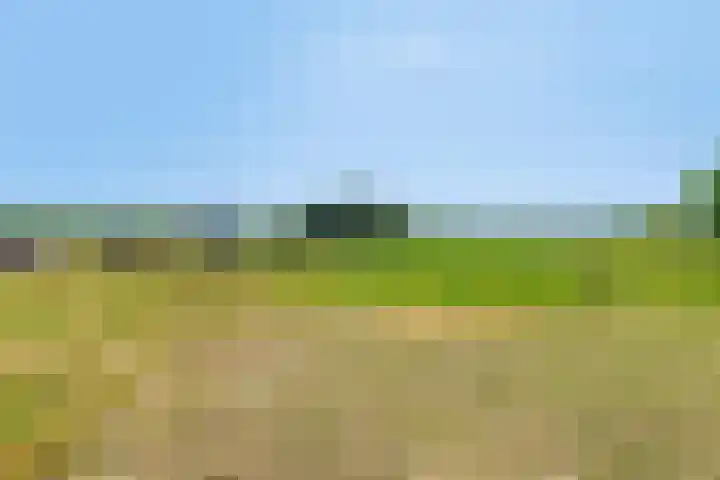 Griftdijk 10 Maarsbergen thumbnail 50