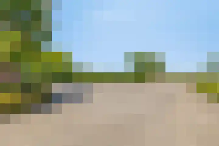 Griftdijk 10 Maarsbergen thumbnail 54