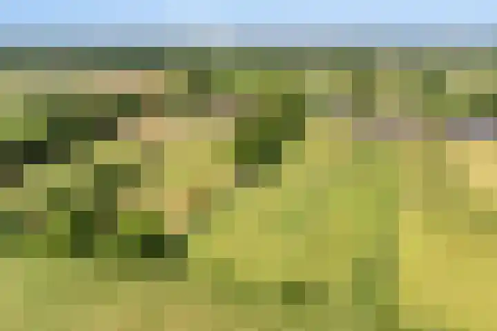 Griftdijk 10 Maarsbergen thumbnail 57