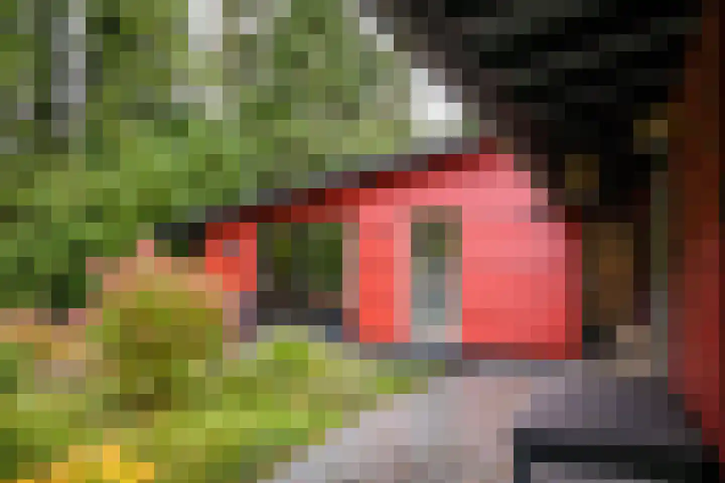 Griftdijk 17 Maarsbergen thumbnail 21